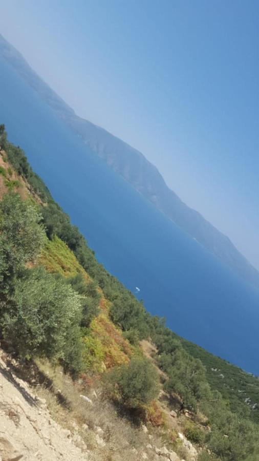 Villa Fredi أوريكوم المظهر الخارجي الصورة